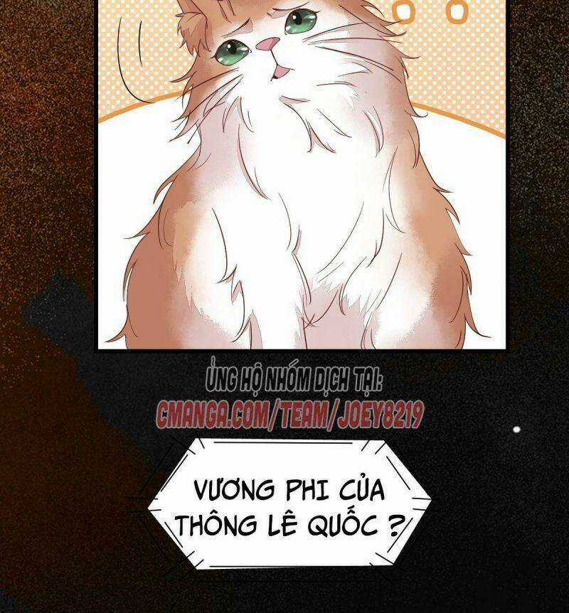 Sát Thủ Vương Phi Không Dễ Chọc - Chapter 60 - Trang 41
