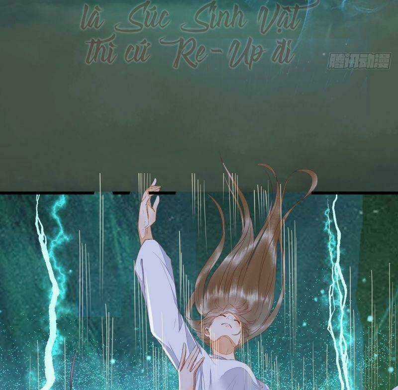 Sát Thủ Vương Phi Không Dễ Chọc - Chapter 63 - Trang 24