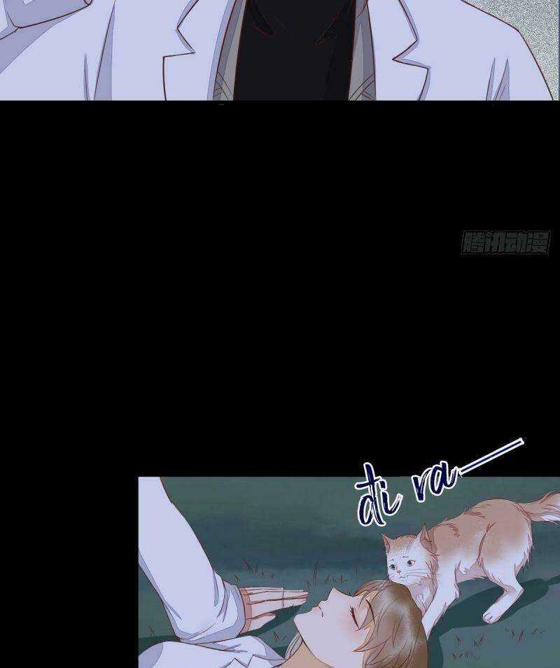 Sát Thủ Vương Phi Không Dễ Chọc - Chapter 63 - Trang 40