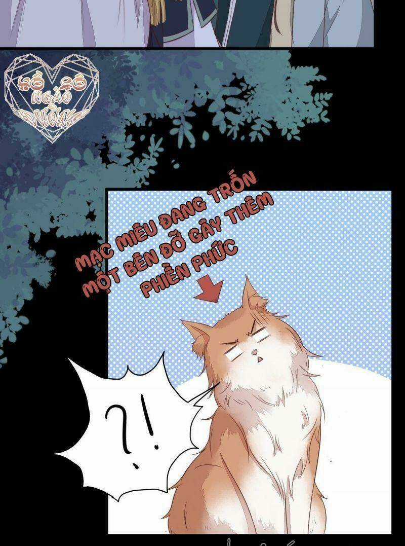 Sát Thủ Vương Phi Không Dễ Chọc - Chapter 63 - Trang 8