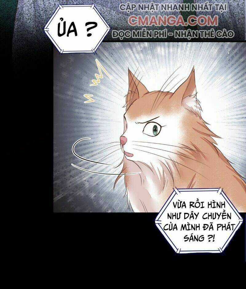 Sát Thủ Vương Phi Không Dễ Chọc - Chapter 64 - Trang 23