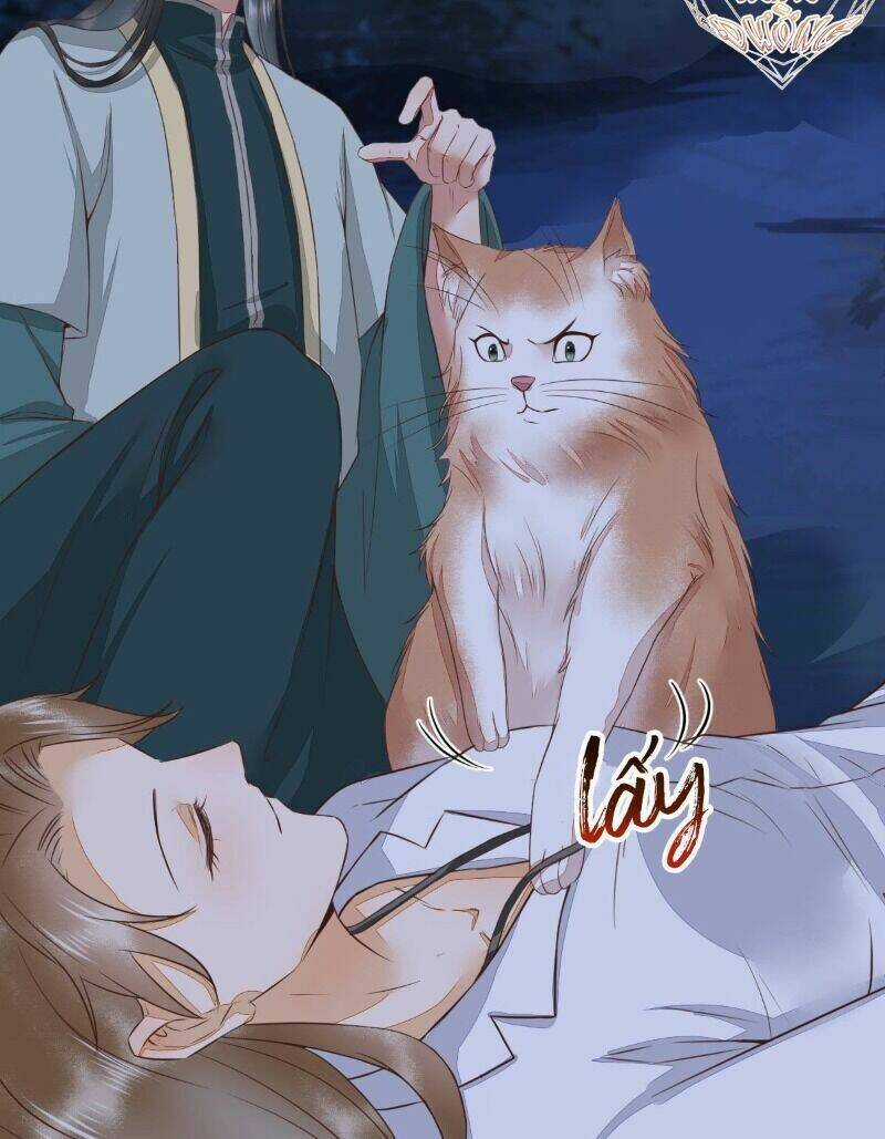 Sát Thủ Vương Phi Không Dễ Chọc - Chapter 64 - Trang 25