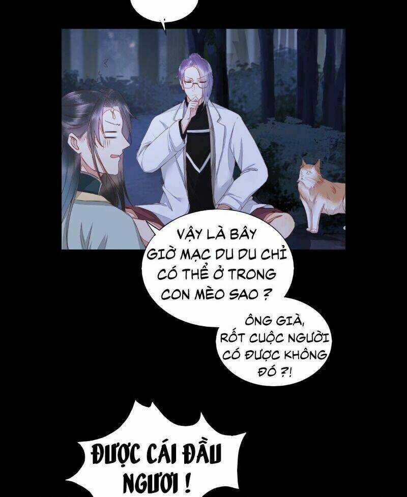 Sát Thủ Vương Phi Không Dễ Chọc - Chapter 64 - Trang 4