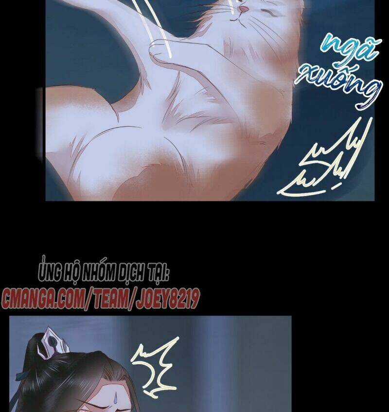 Sát Thủ Vương Phi Không Dễ Chọc - Chapter 64 - Trang 33