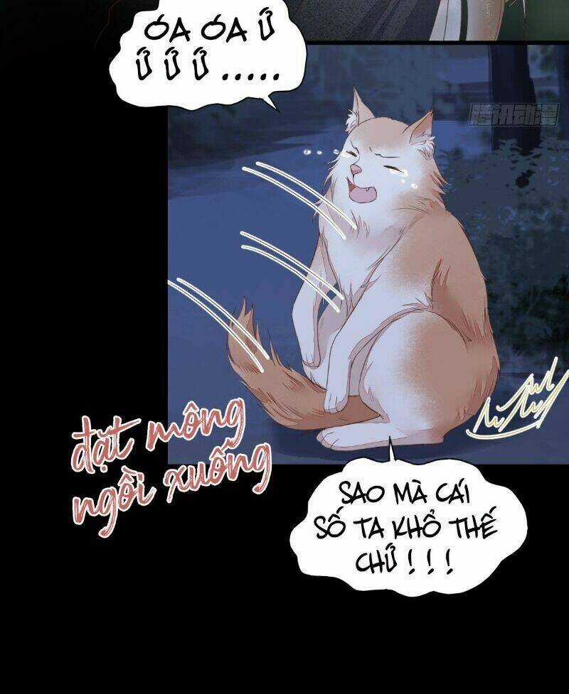 Sát Thủ Vương Phi Không Dễ Chọc - Chapter 64 - Trang 9