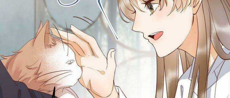 Sát Thủ Vương Phi Không Dễ Chọc - Chapter 65 - Trang 48