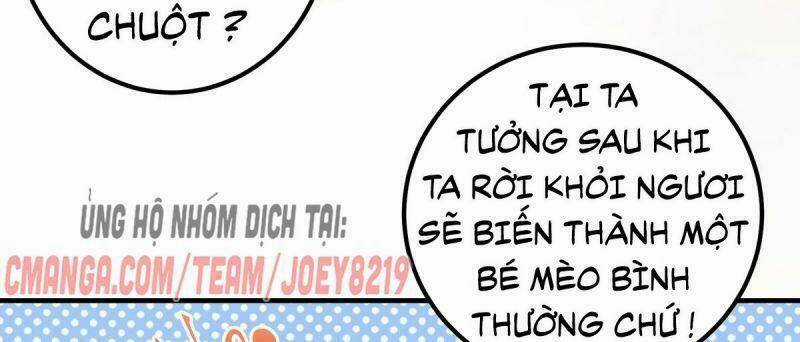 Sát Thủ Vương Phi Không Dễ Chọc - Chapter 65 - Trang 50