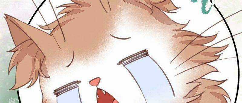 Sát Thủ Vương Phi Không Dễ Chọc - Chapter 65 - Trang 54