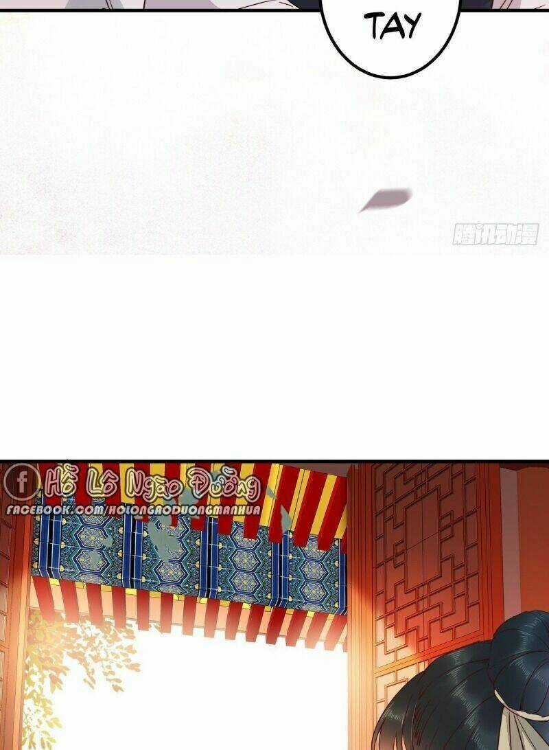 Sát Thủ Vương Phi Không Dễ Chọc - Chapter 67 - Trang 22