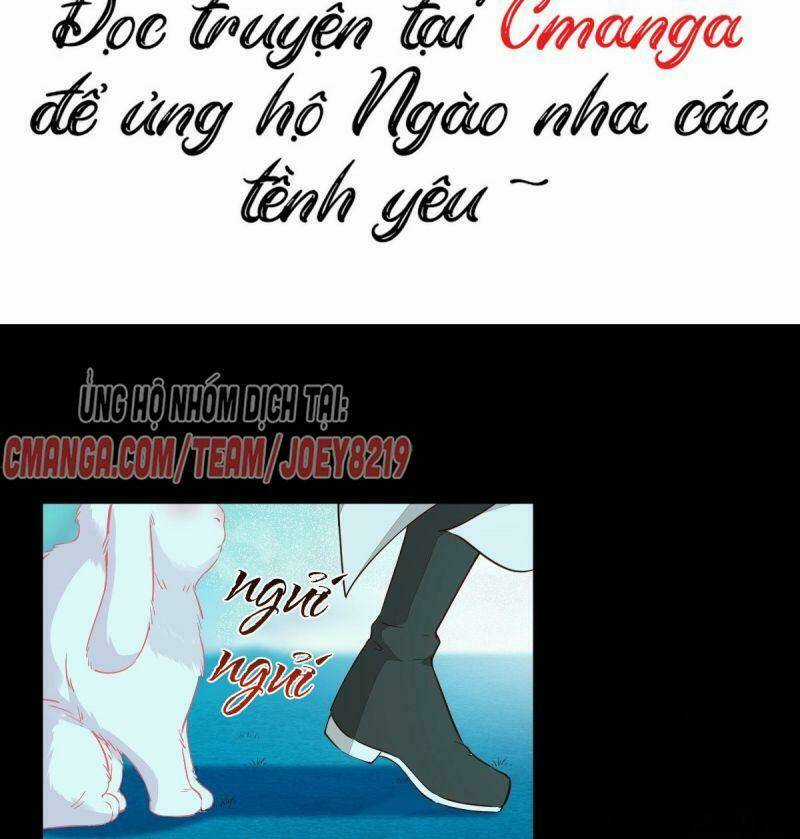 Sát Thủ Vương Phi Không Dễ Chọc - Chapter 68 - Trang 28