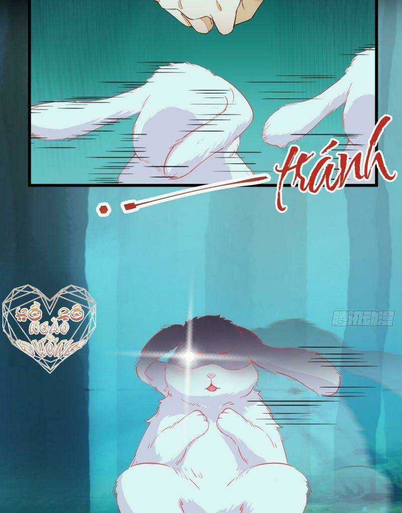 Sát Thủ Vương Phi Không Dễ Chọc - Chapter 69 - Trang 4