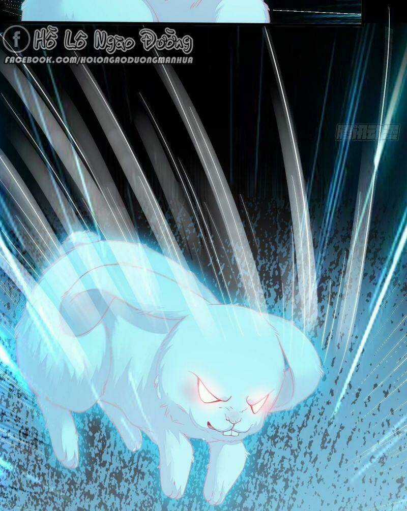 Sát Thủ Vương Phi Không Dễ Chọc - Chapter 69 - Trang 31