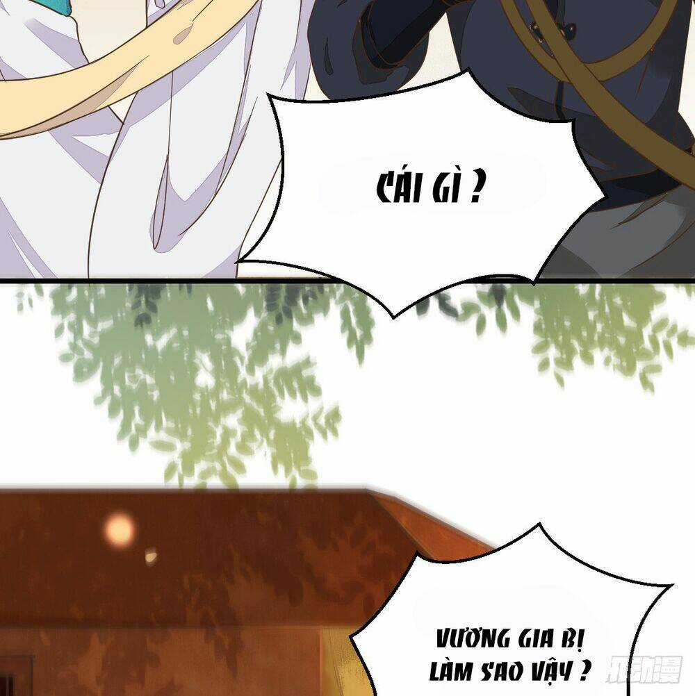 Sát Thủ Vương Phi Không Dễ Chọc - Chapter 7 - Trang 8