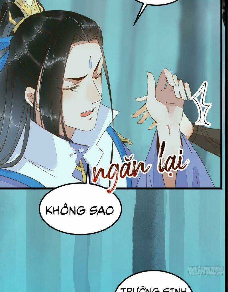 Sát Thủ Vương Phi Không Dễ Chọc - Chapter 71 - Trang 11