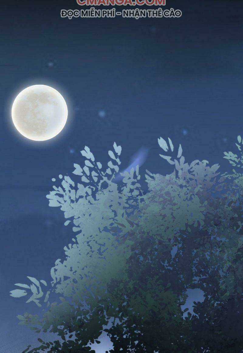 Sát Thủ Vương Phi Không Dễ Chọc - Chapter 71 - Trang 19