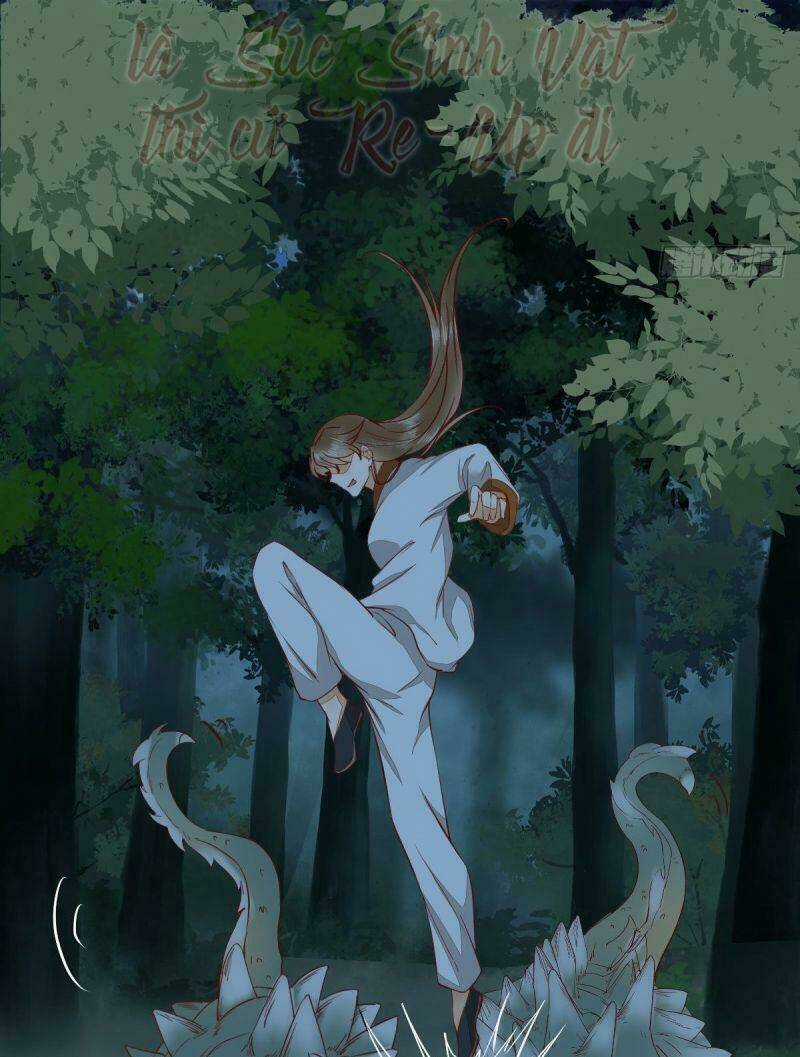 Sát Thủ Vương Phi Không Dễ Chọc - Chapter 72 - Trang 38