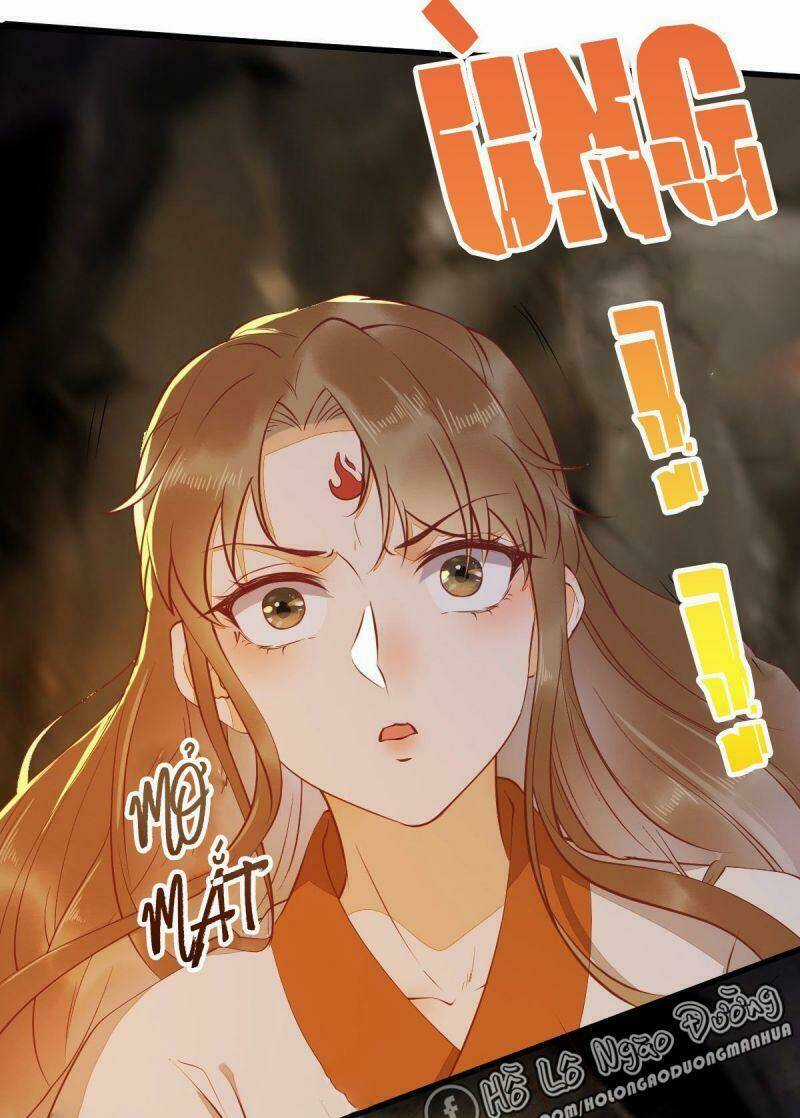 Sát Thủ Vương Phi Không Dễ Chọc - Chapter 76 - Trang 32