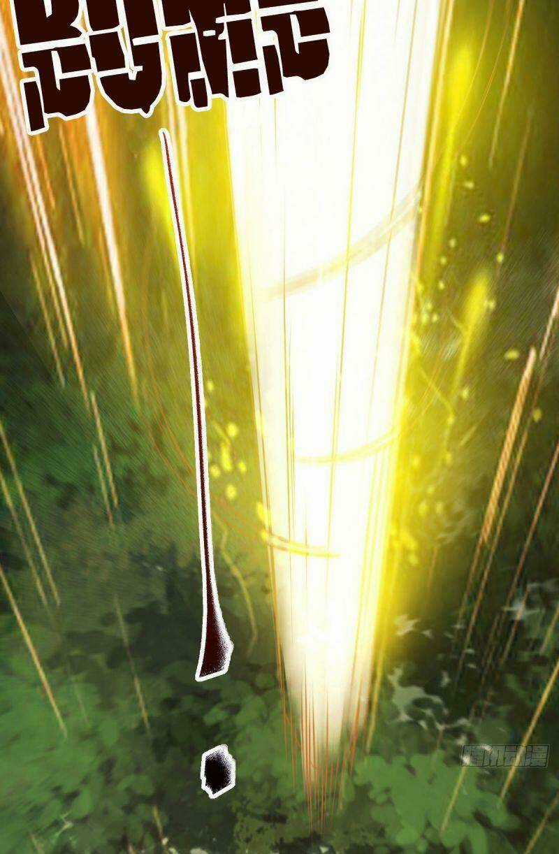 Sát Thủ Vương Phi Không Dễ Chọc - Chapter 79 - Trang 11