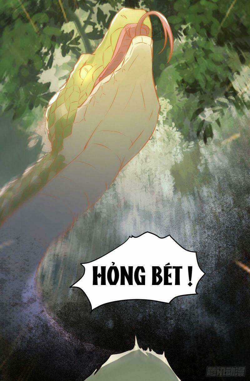 Sát Thủ Vương Phi Không Dễ Chọc - Chapter 79 - Trang 12