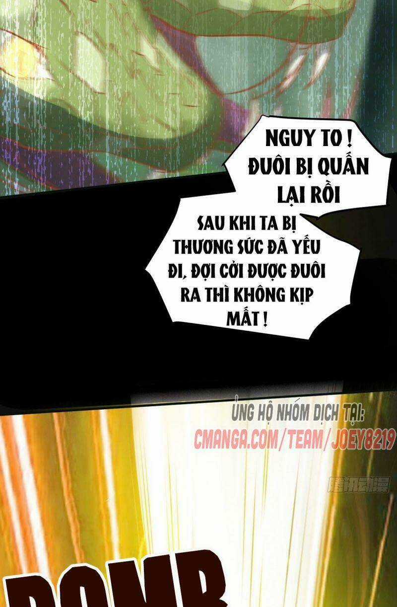 Sát Thủ Vương Phi Không Dễ Chọc - Chapter 79 - Trang 10