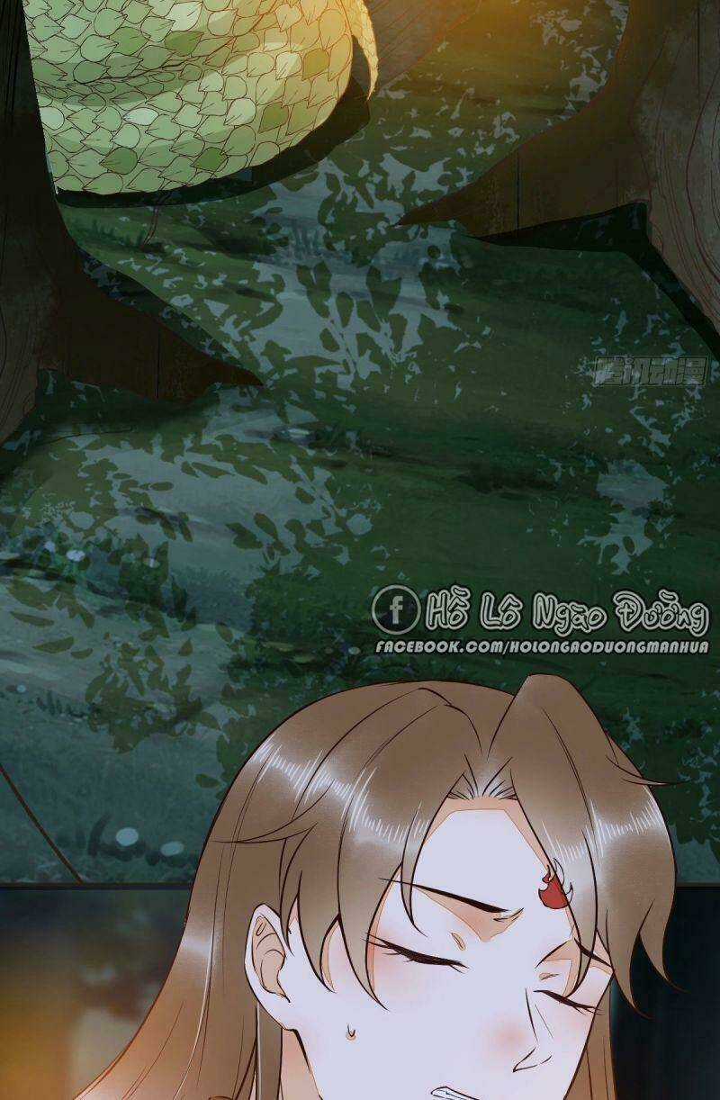 Sát Thủ Vương Phi Không Dễ Chọc - Chapter 80 - Trang 5