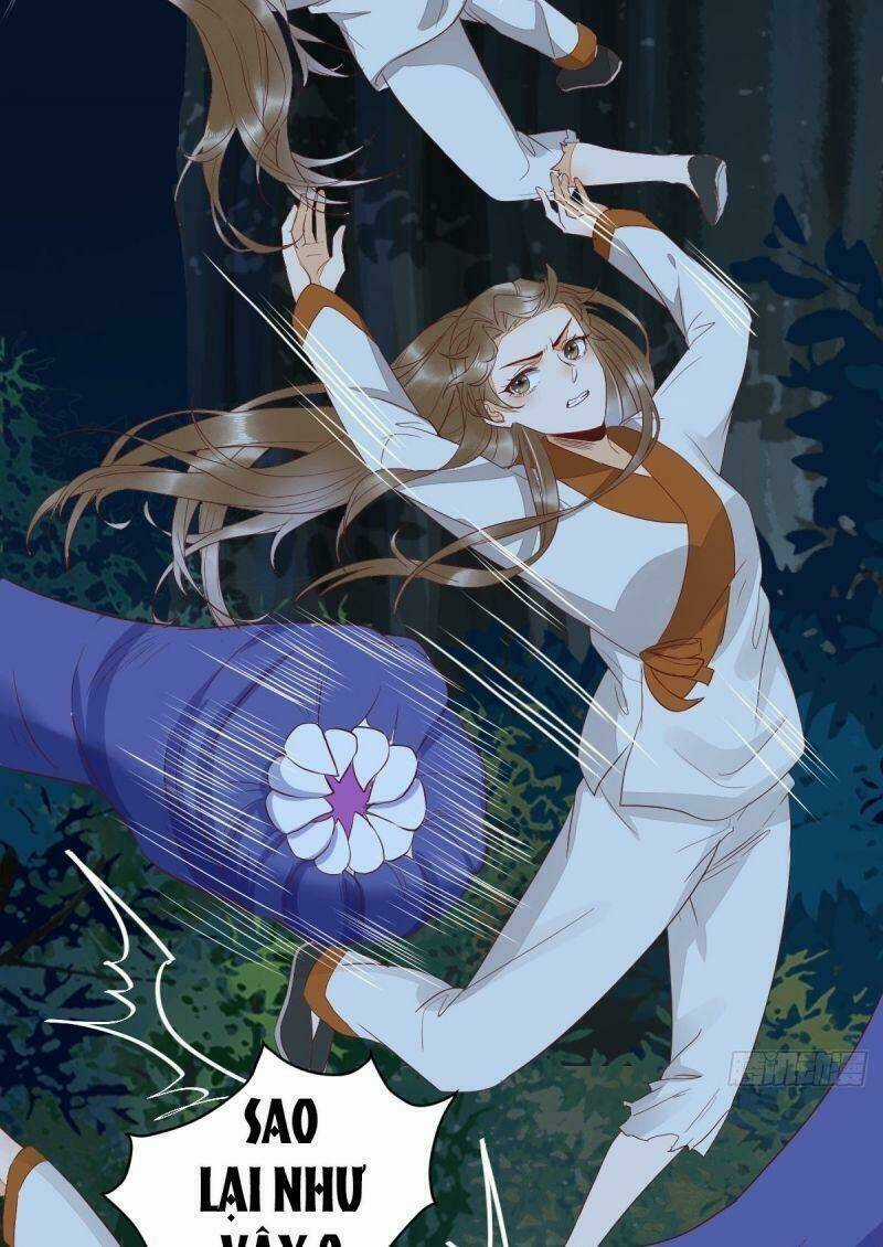 Sát Thủ Vương Phi Không Dễ Chọc - Chapter 83 - Trang 5