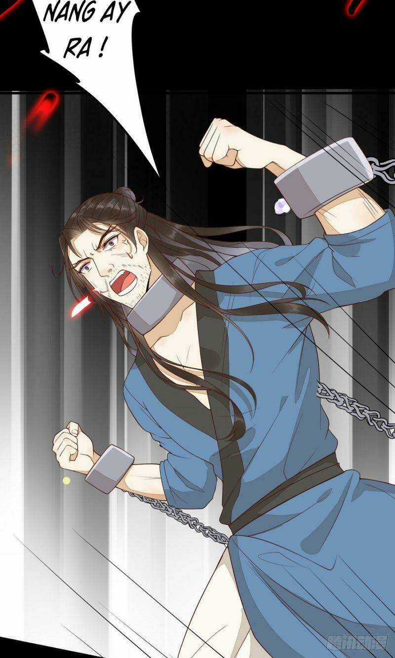 Sát Thủ Vương Phi Không Dễ Chọc - Chapter 85 - Trang 8