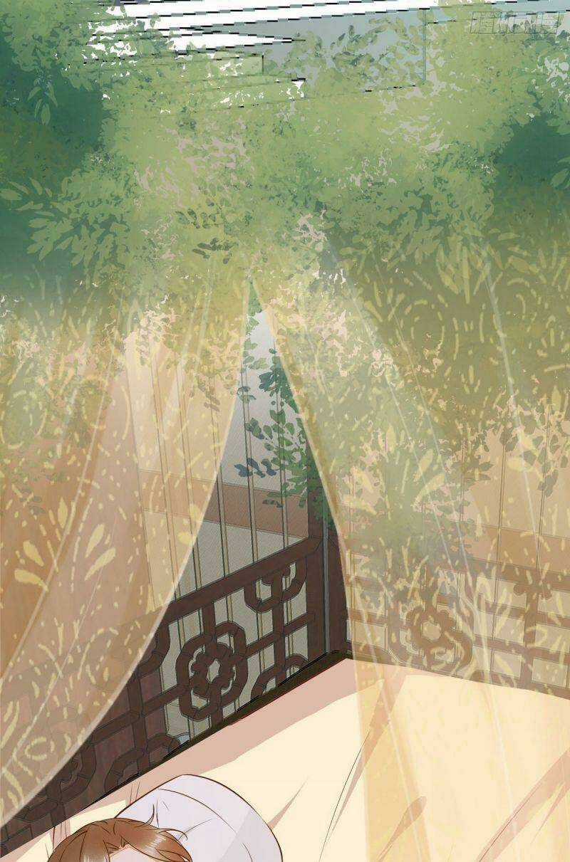 Sát Thủ Vương Phi Không Dễ Chọc - Chapter 86 - Trang 15