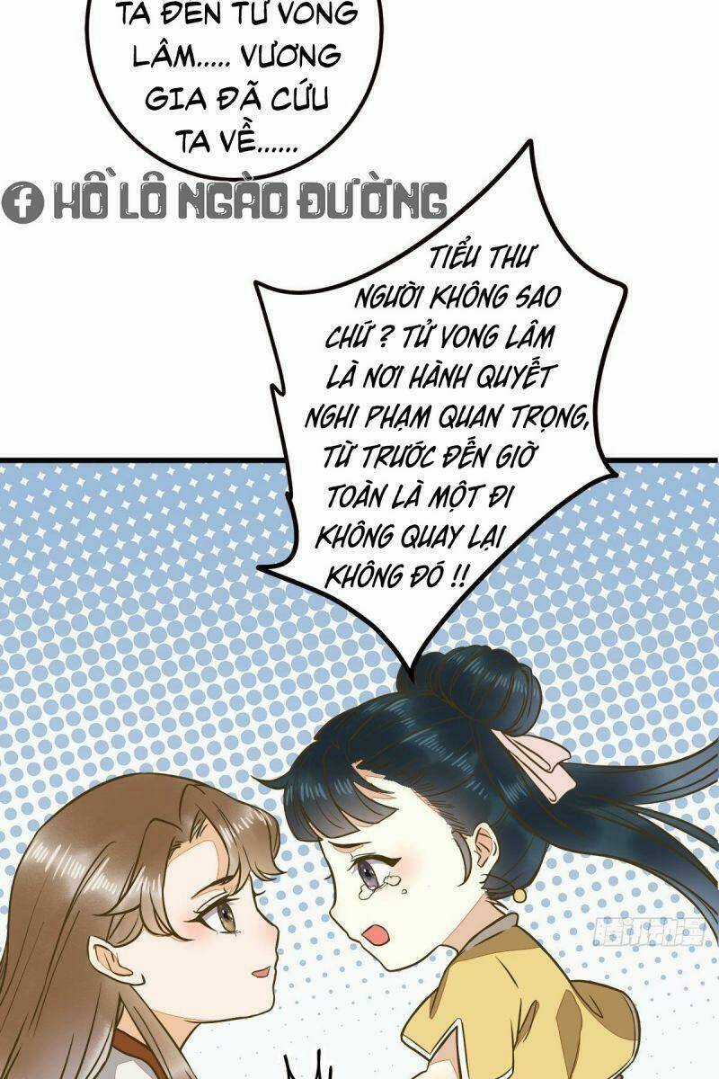 Sát Thủ Vương Phi Không Dễ Chọc - Chapter 86 - Trang 29