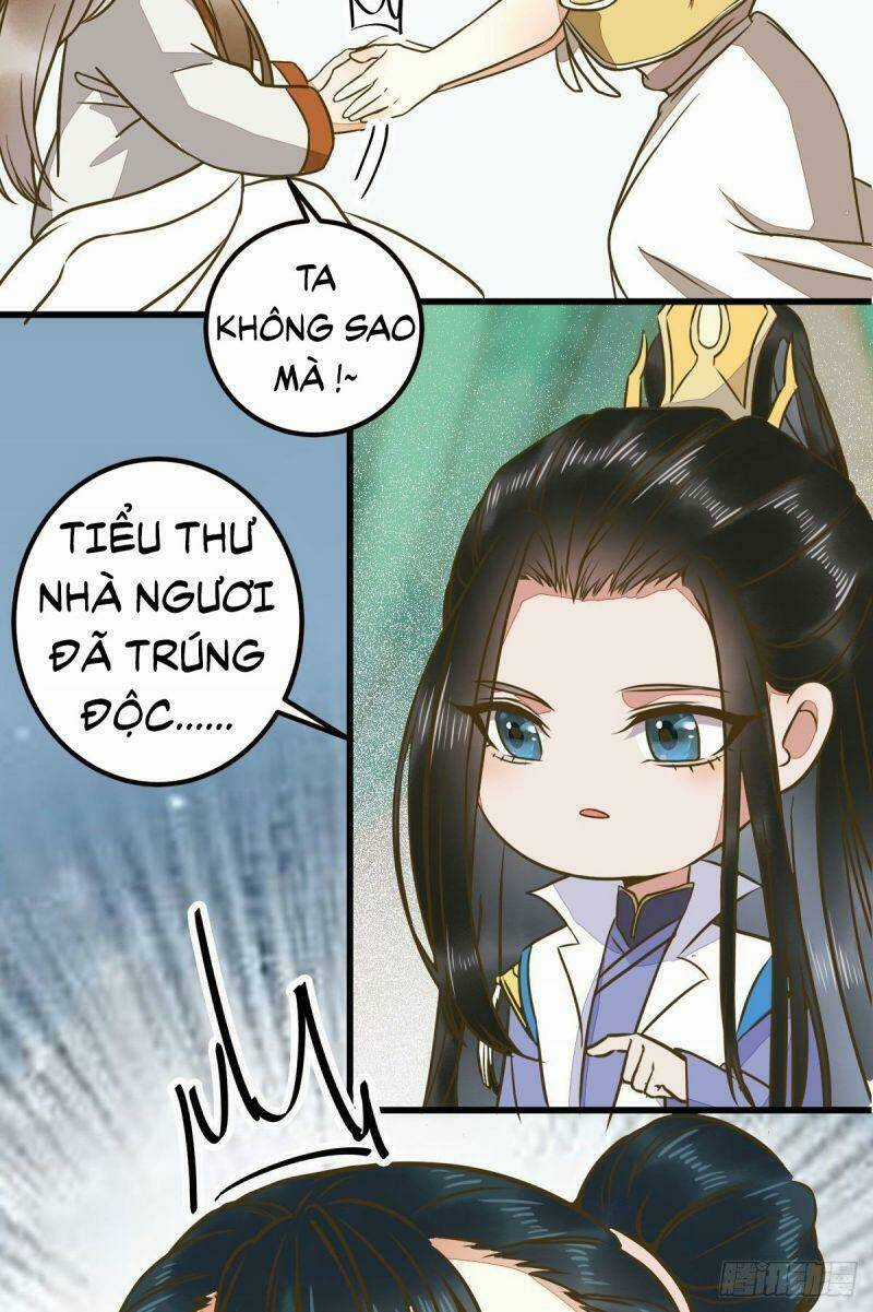 Sát Thủ Vương Phi Không Dễ Chọc - Chapter 86 - Trang 30