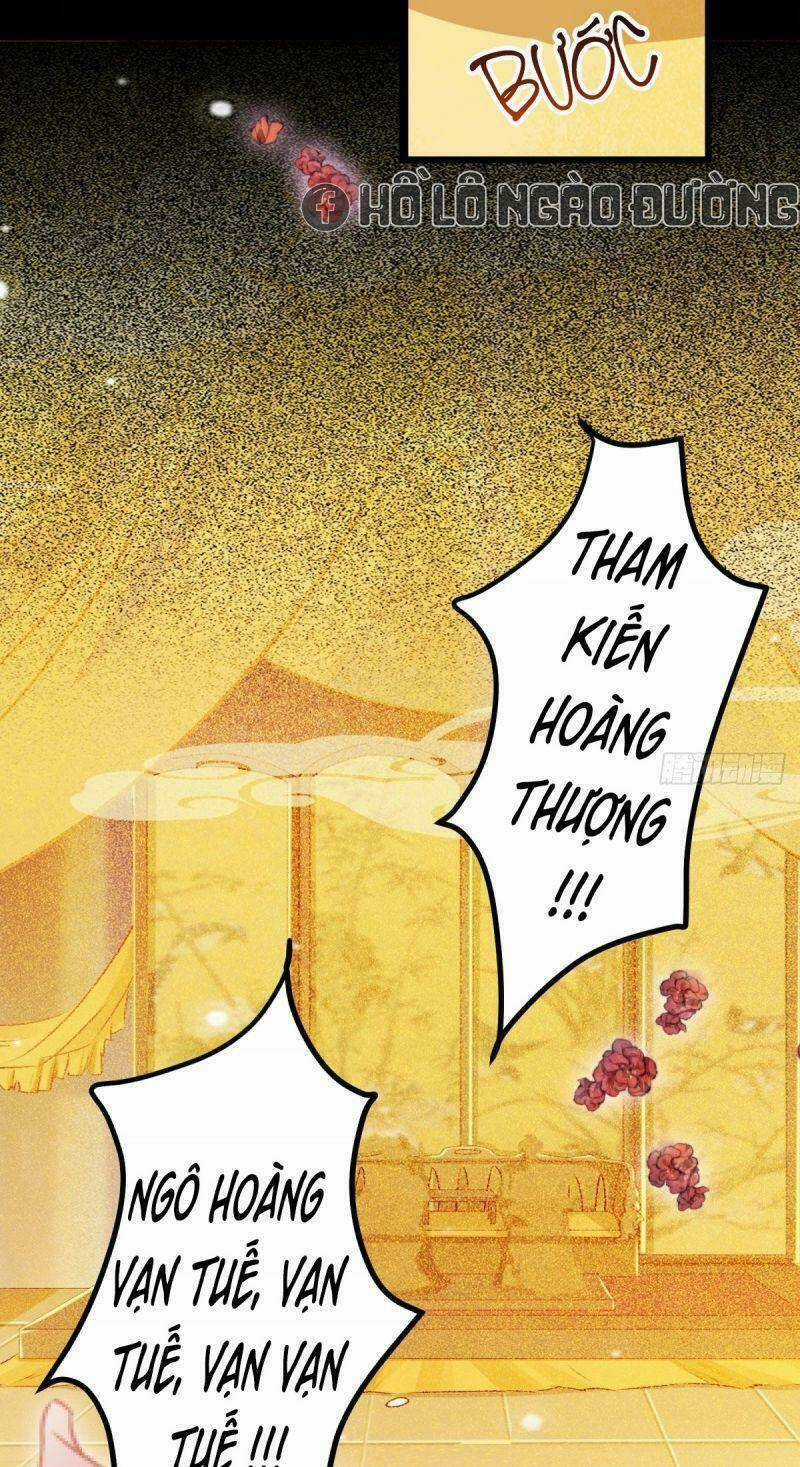 Sát Thủ Vương Phi Không Dễ Chọc - Chapter 88 - Trang 5