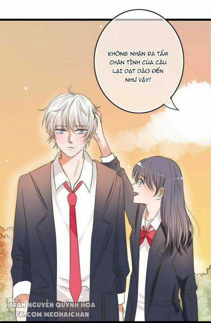 Sau Con Mưa Mùa Hạ - Chapter 4 - Trang 8