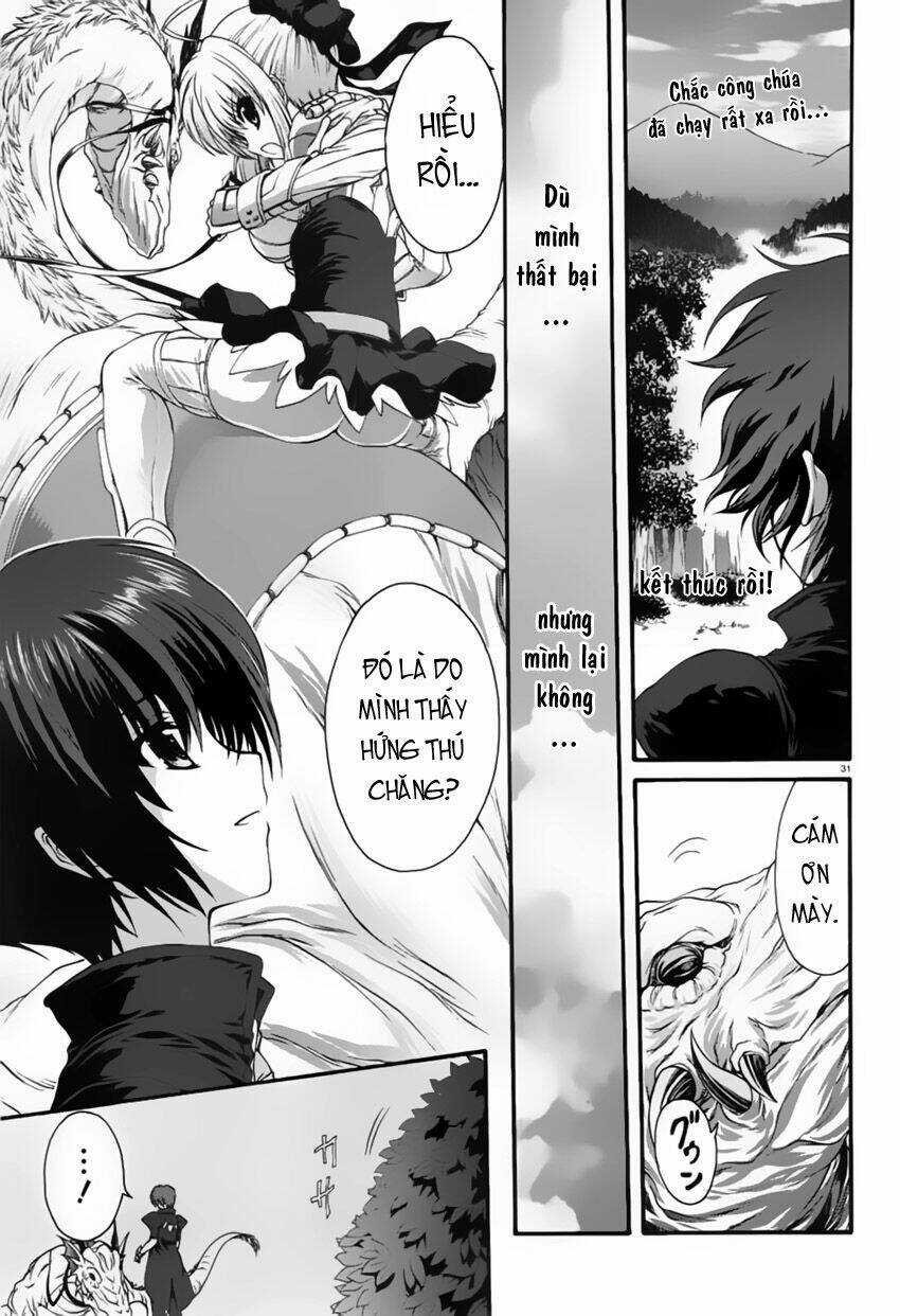 Seikoku No Dragonar - Chapter 1 - Trang 31