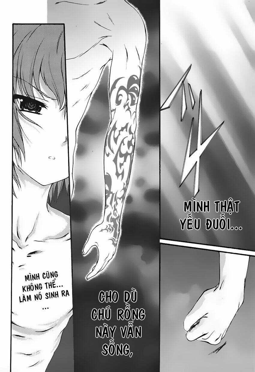 Seikoku No Dragonar - Chapter 1 - Trang 41