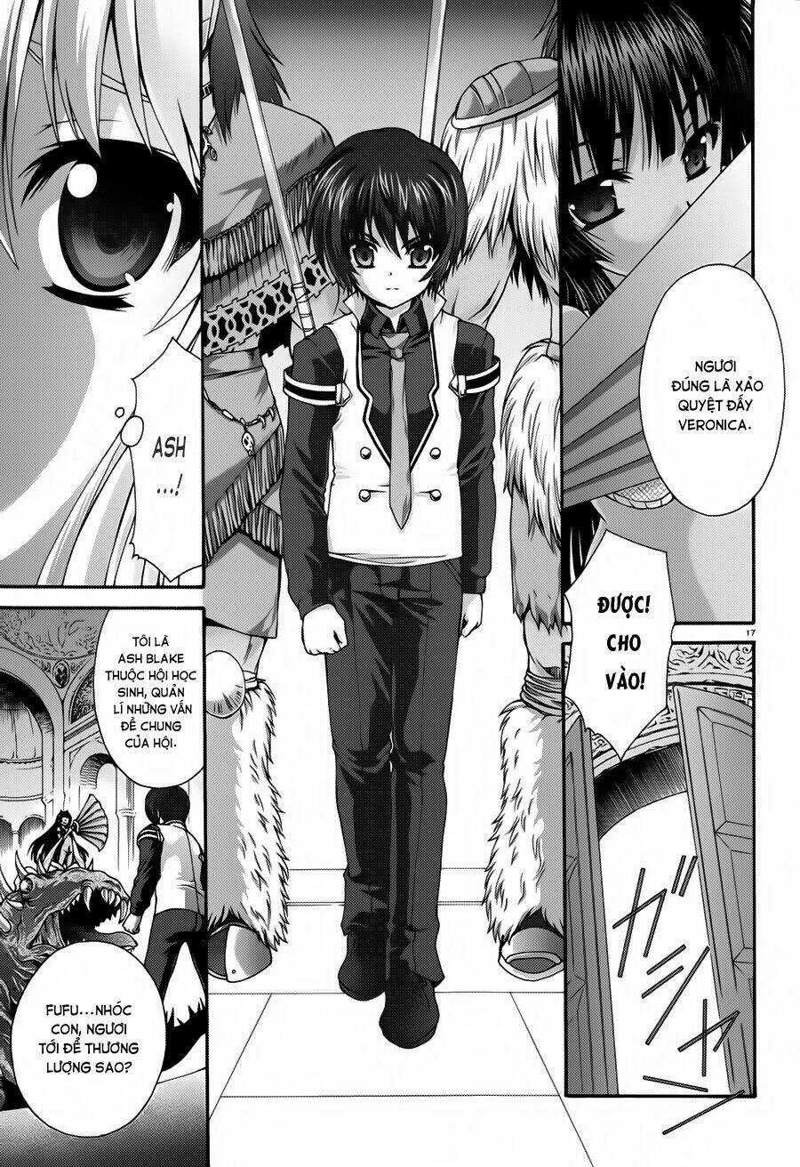 Seikoku No Dragonar - Chapter 13 - Trang 17