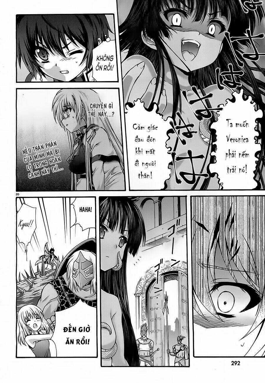 Seikoku No Dragonar - Chapter 13 - Trang 20