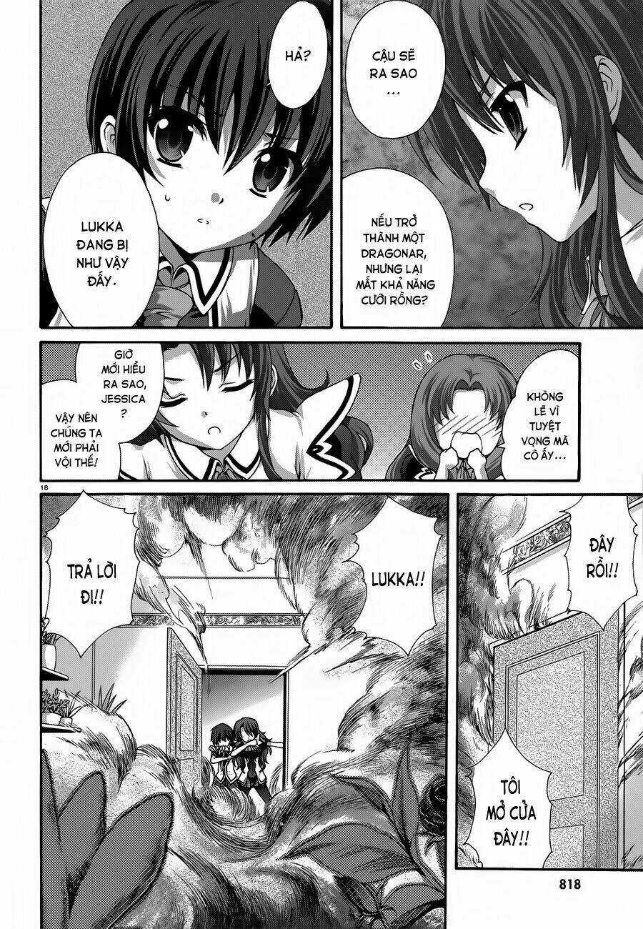 Seikoku No Dragonar - Chapter 17 - Trang 19