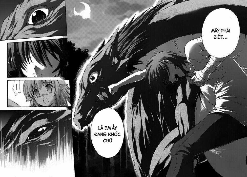 Seikoku No Dragonar - Chapter 19 - Trang 27