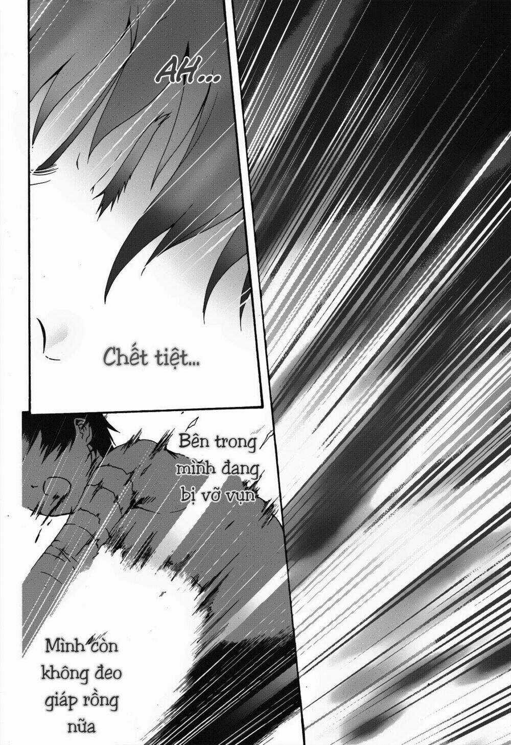 Seikoku No Dragonar - Chapter 19 - Trang 28