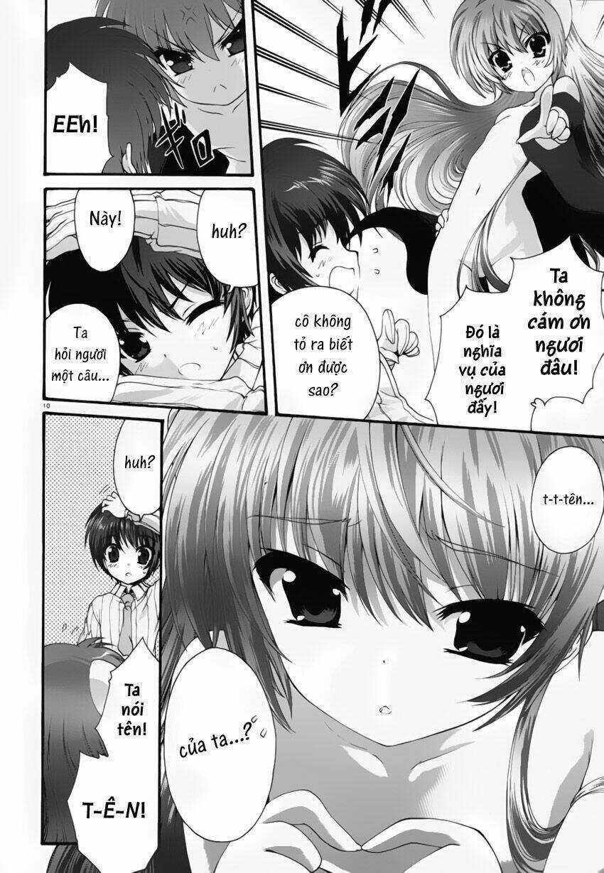 Seikoku No Dragonar - Chapter 2 - Trang 12