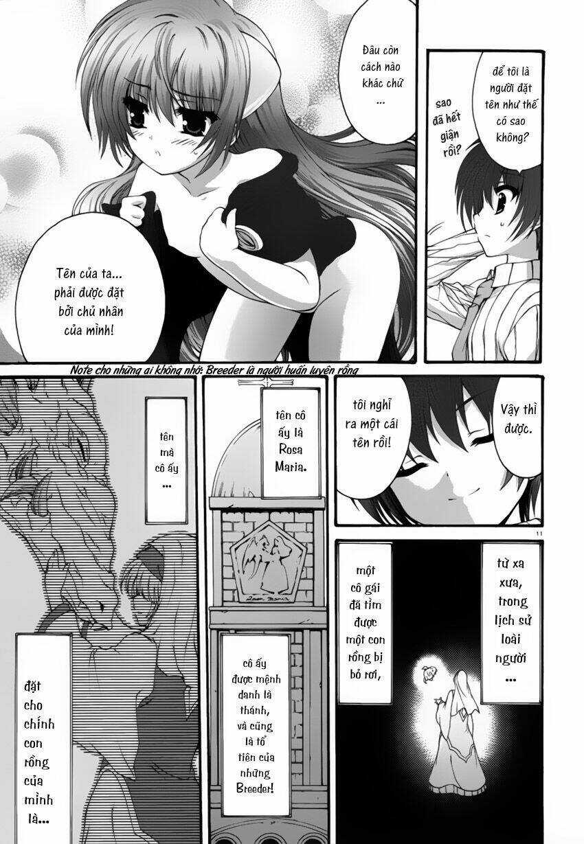 Seikoku No Dragonar - Chapter 2 - Trang 13