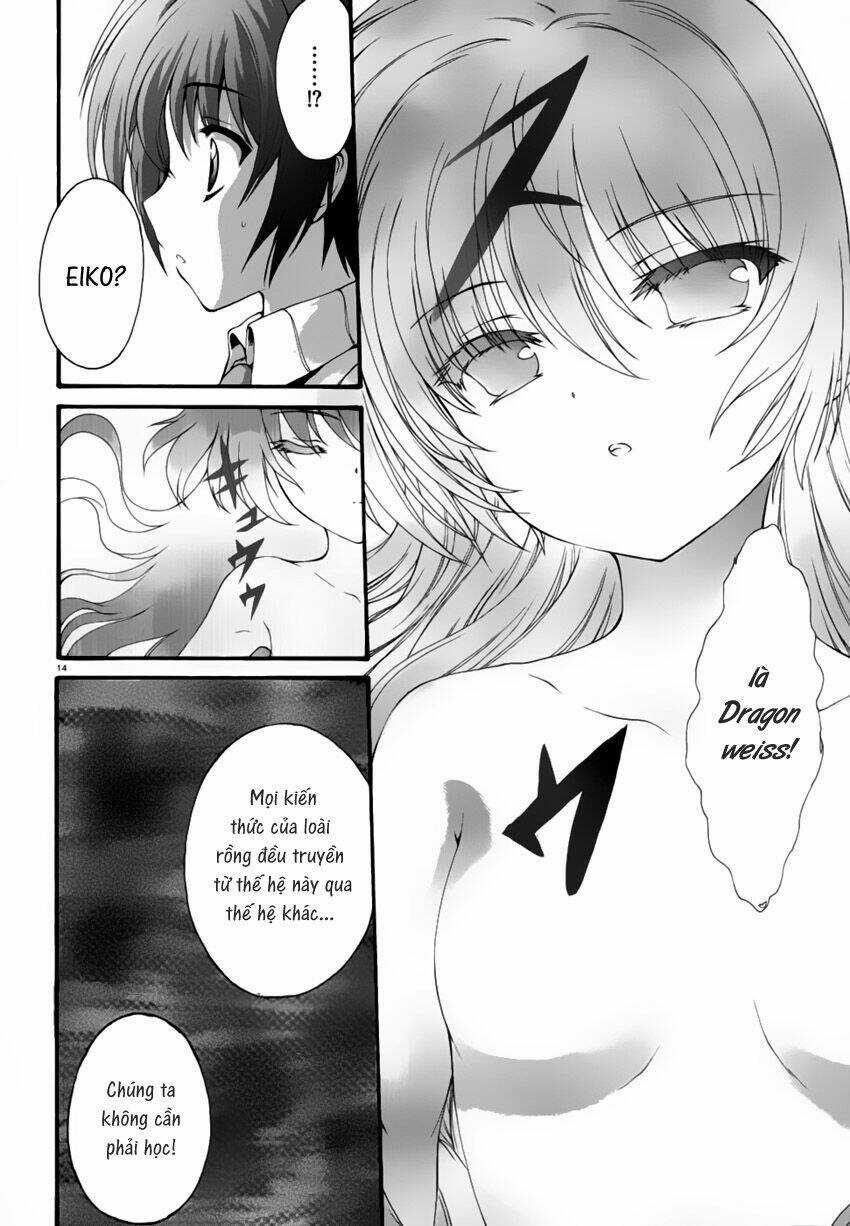 Seikoku No Dragonar - Chapter 2 - Trang 16