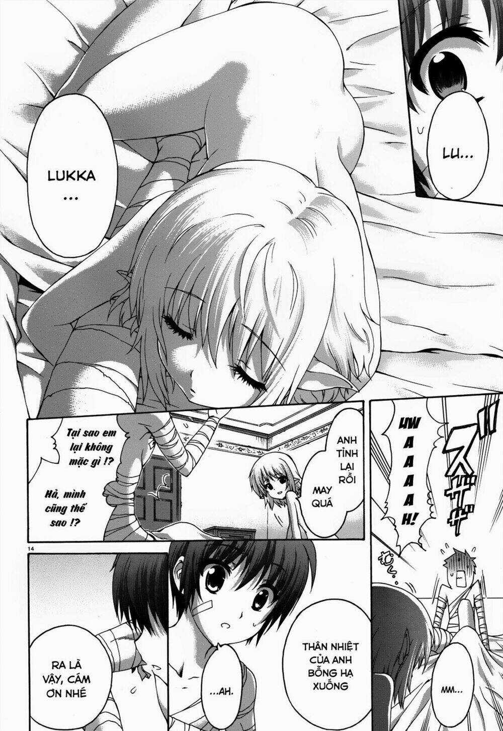 Seikoku No Dragonar - Chapter 20 - Trang 15