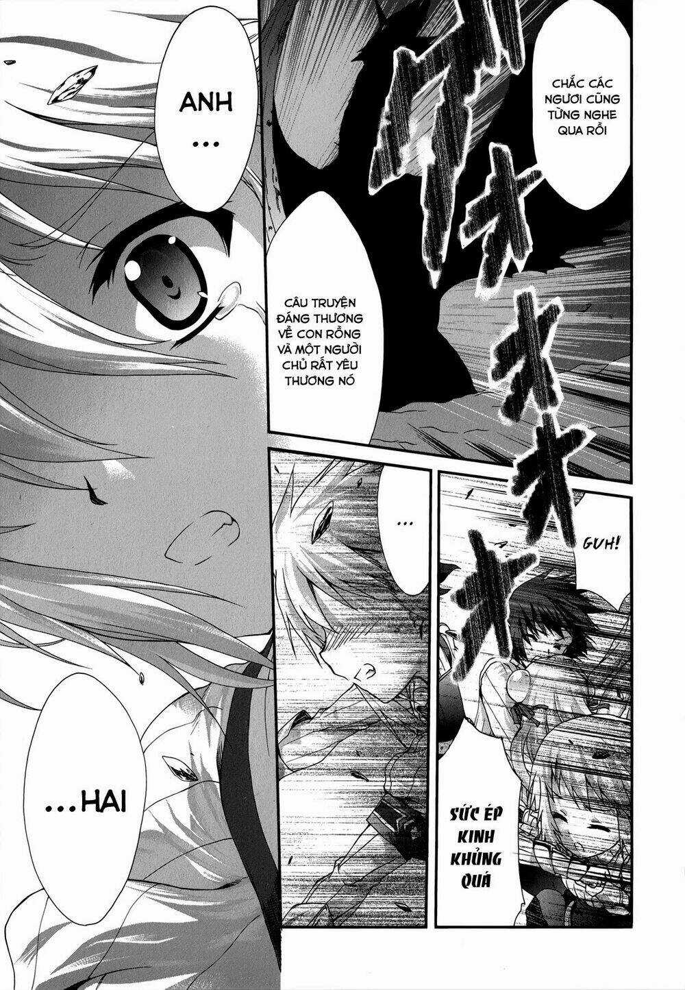 Seikoku No Dragonar - Chapter 21 - Trang 28