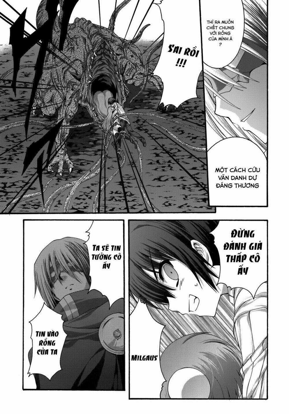 Seikoku No Dragonar - Chapter 22 - Trang 13