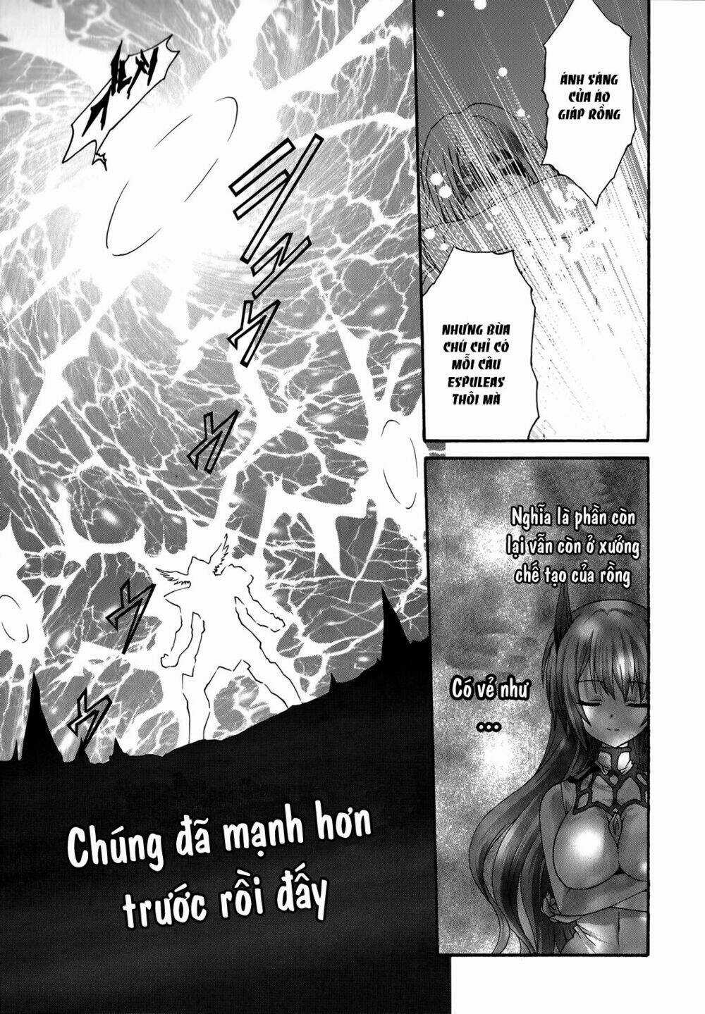 Seikoku No Dragonar - Chapter 22 - Trang 19