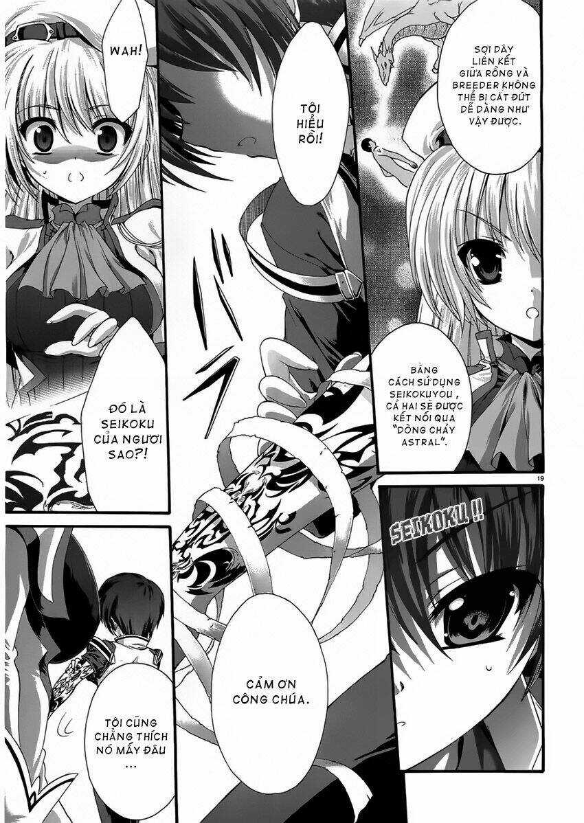Seikoku No Dragonar - Chapter 3 - Trang 19