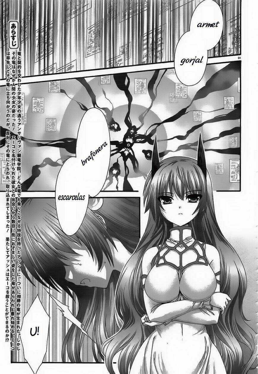 Seikoku No Dragonar - Chapter 7 - Trang 1