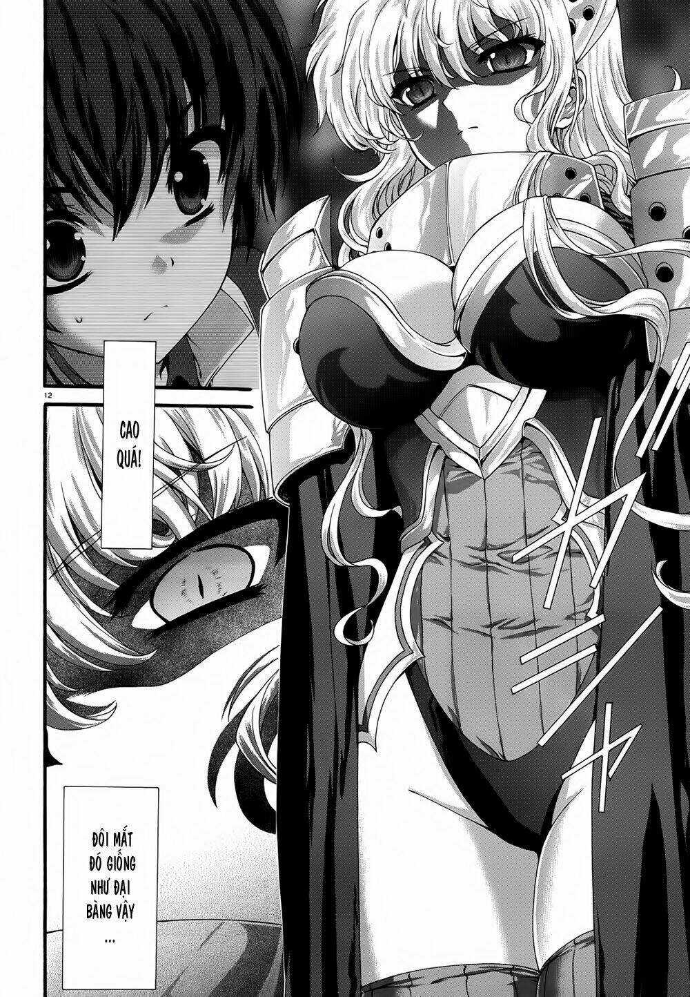 Seikoku No Dragonar - Chapter 9 - Trang 11