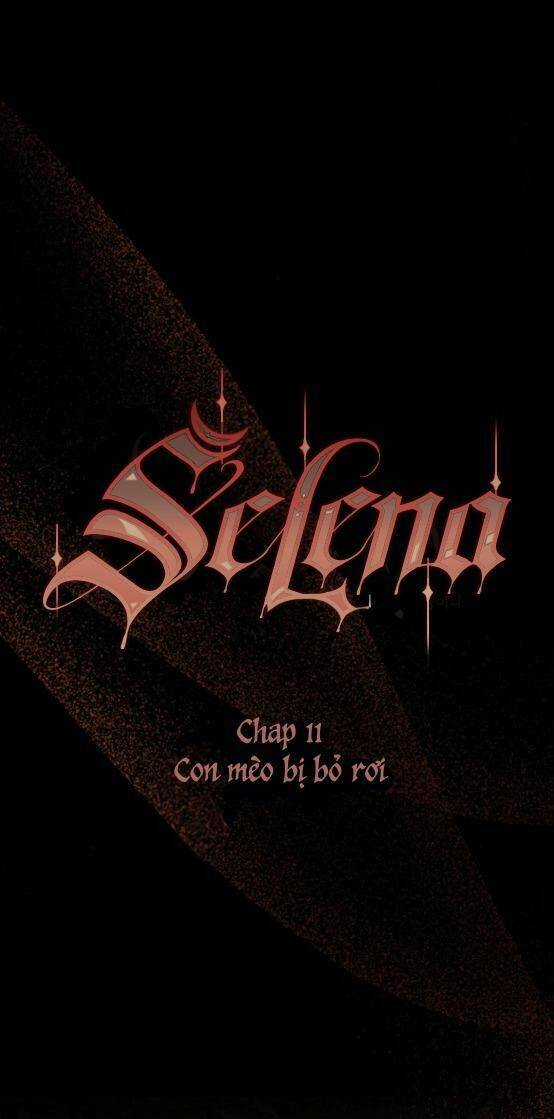 Serena - Chapter 11 - Trang 16